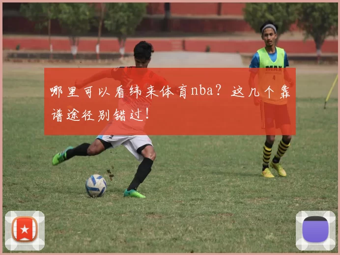 哪里可以看纬来体育nba？这几个靠谱途径别错过！
