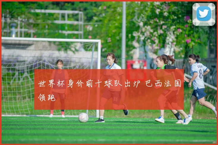 世界杯身价前十球队出炉 巴西法国领跑