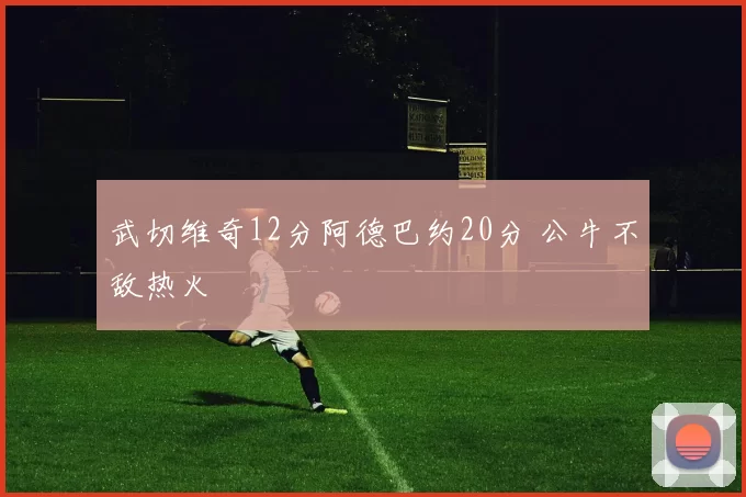 武切维奇12分阿德巴约20分 公牛不敌热火