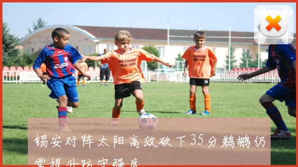锡安对阵太阳高效砍下35分鹈鹕仍需提升防守强度